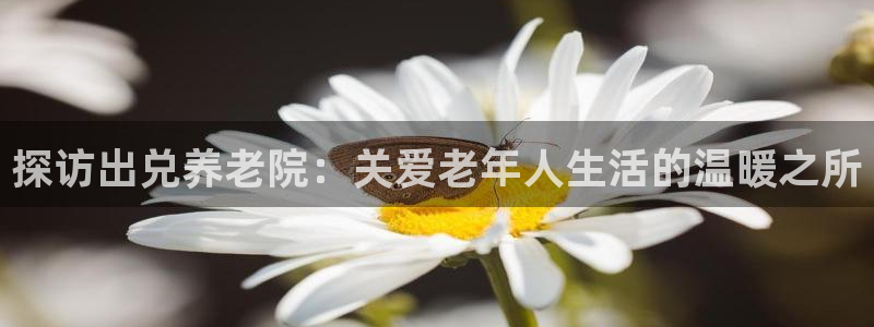 韦德1946手机