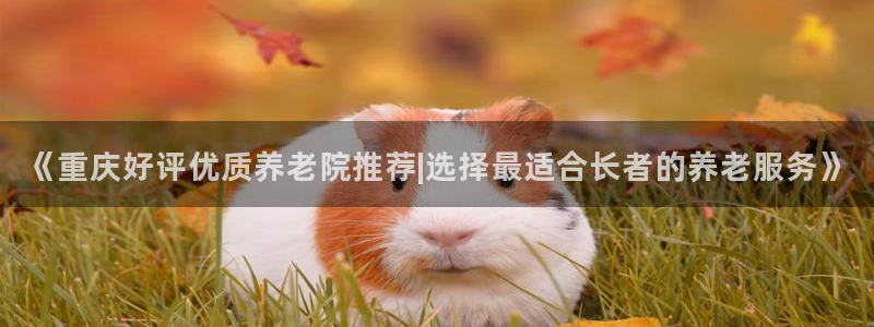 韦德游戏大厅