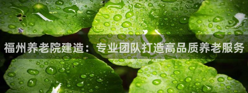 韦德1946备用网站