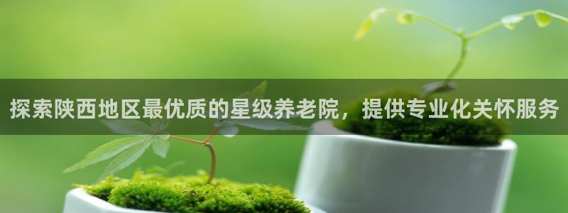 韦德官方网址