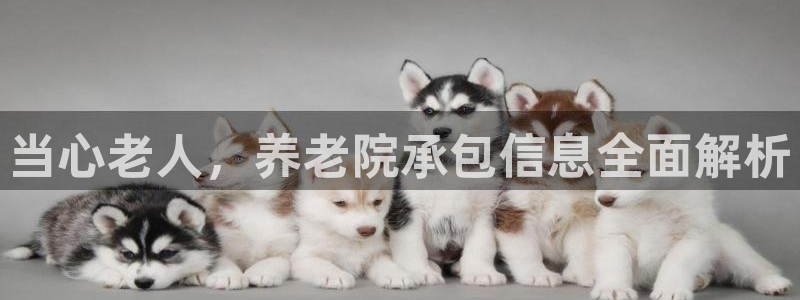 韦德1946网址