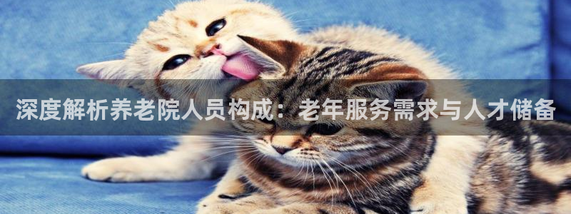 1946韦德找回密码