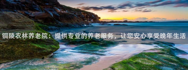 韦德网址是多少