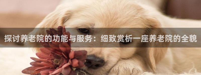 韦德国际1946官网
