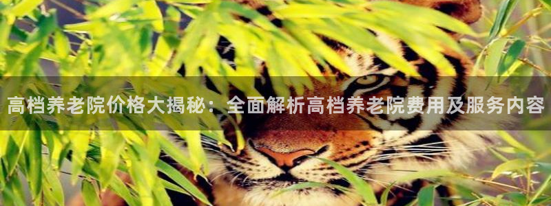 韦德1946最新网站