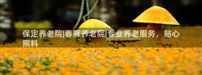 韦德属于什么