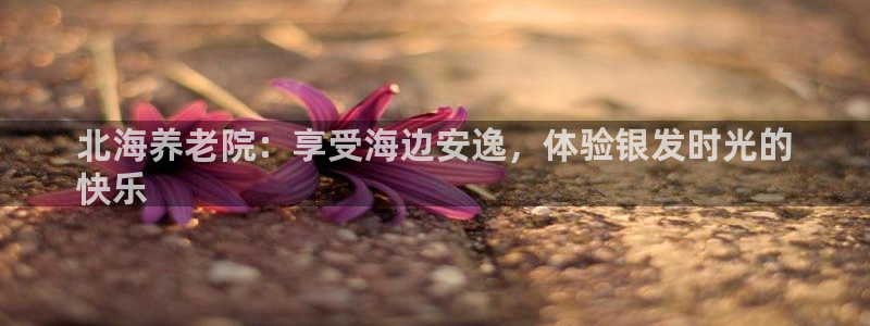 韦德1946手机