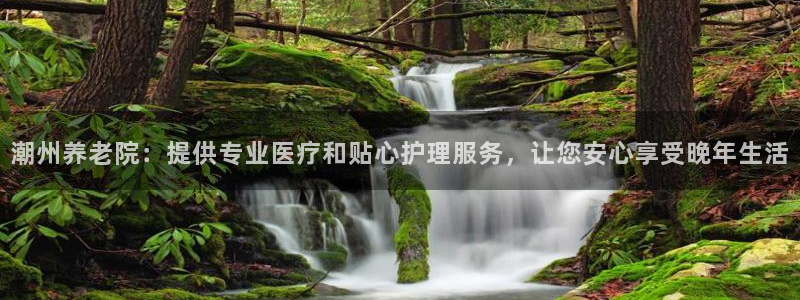 1946韦德游戏
