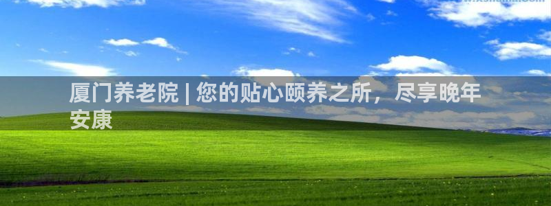 韦德 网站