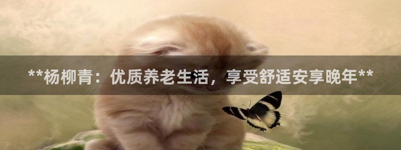 1946韦德游戏
