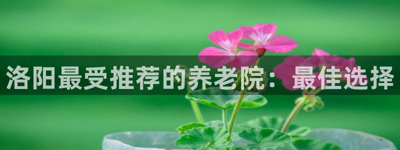韦德国际体育