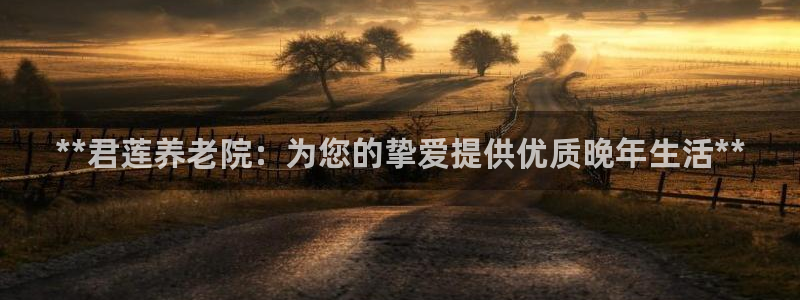 韦德 网址