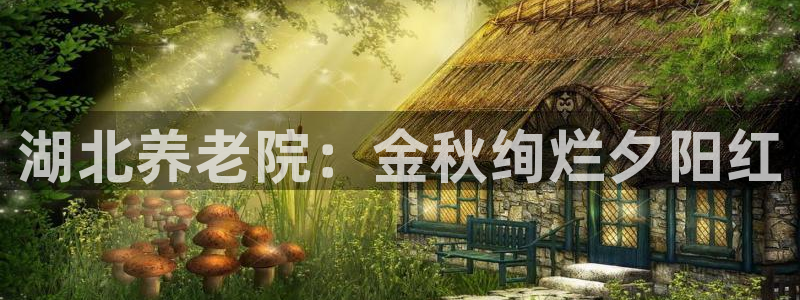 韦德全系列