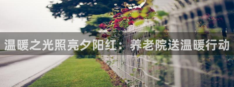 韦德1946bv1946