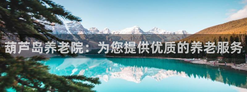 韦德1946源自英国