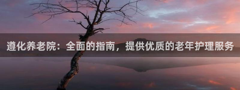 韦德1946国际娱乐