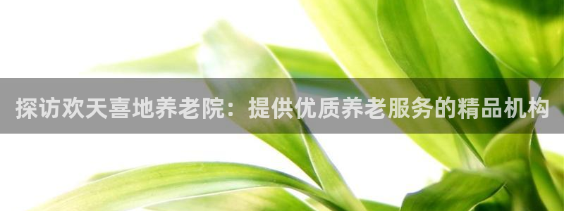 韦德是哪一届