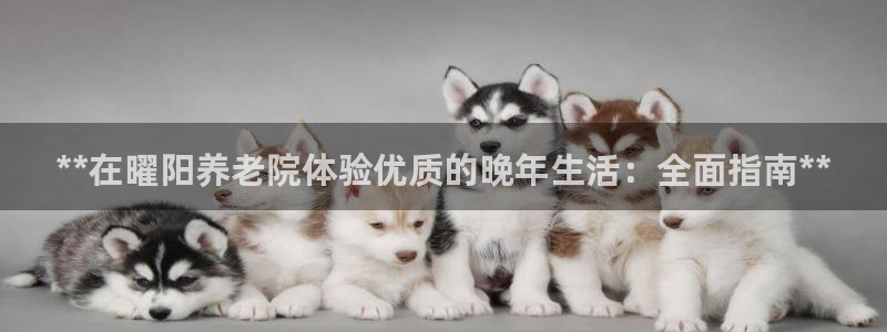韦德betvlctor1946