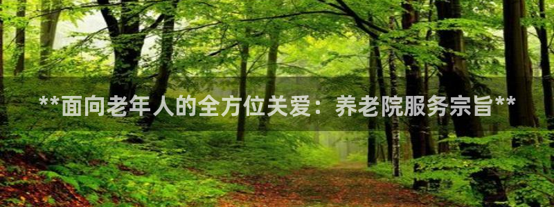 韦德bietview官网