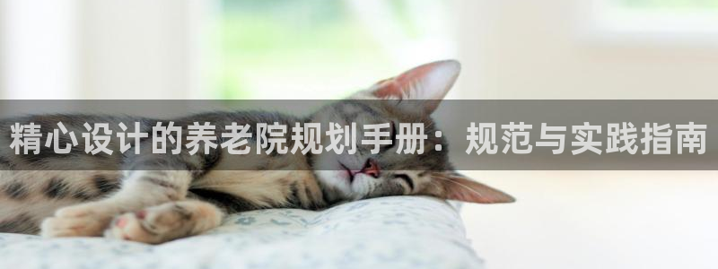 韦德 官网