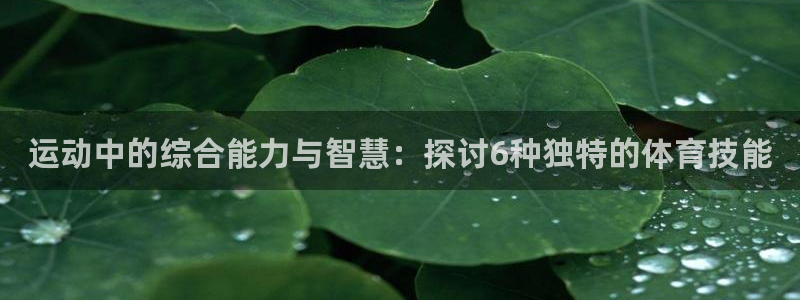 必威betway西汉姆联