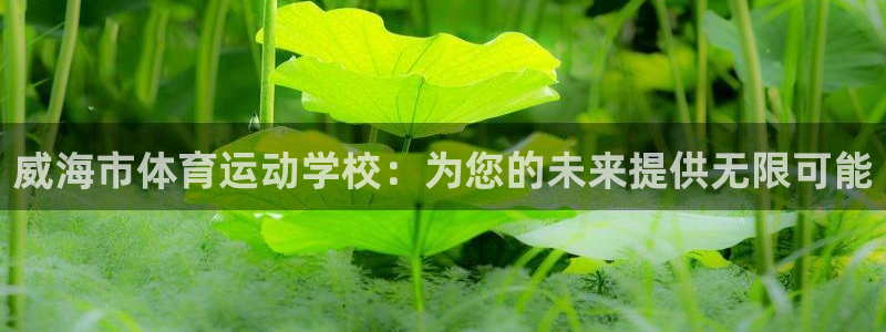 betway西汉姆官网