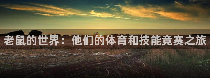 betway西汉姆