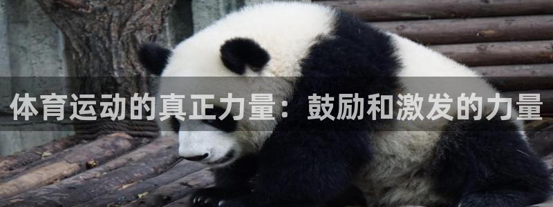 betway西汉姆联