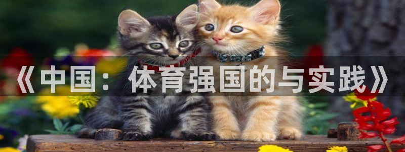 betway西汉姆