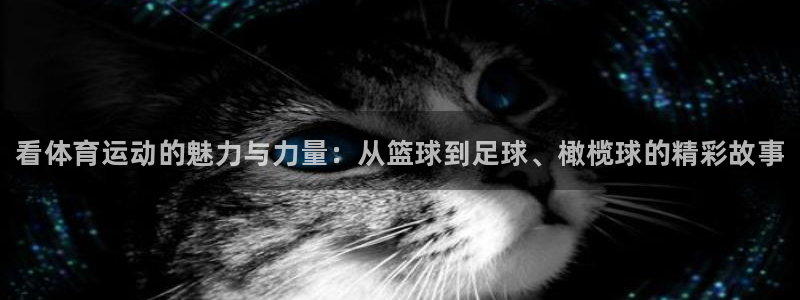 betway西汉姆