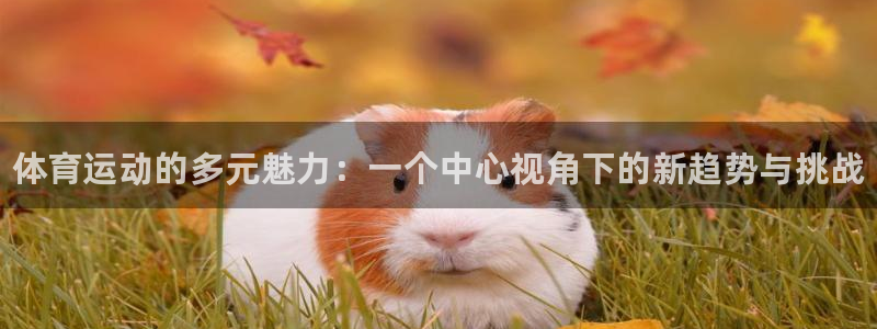 betway西汉姆联
