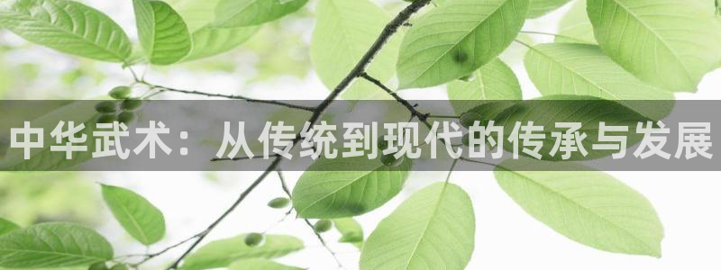 必威betway西汉姆联
