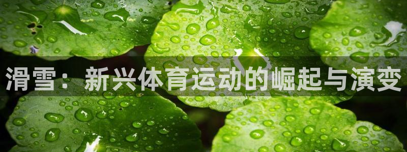 betway西汉姆