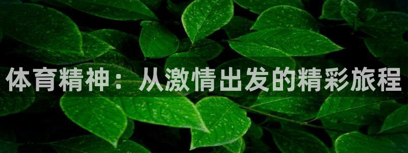 必威betway西汉姆联