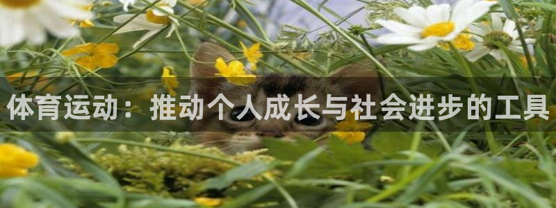 betway西汉姆联官网