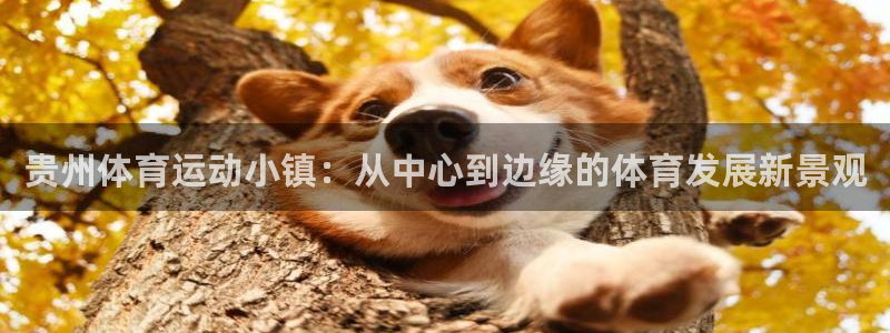 必威betway西汉姆联