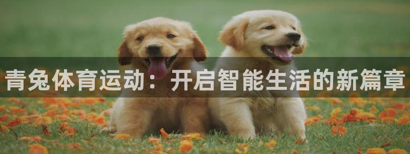 betway西汉姆