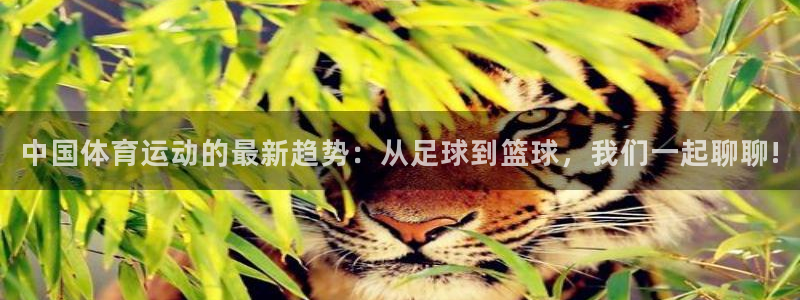 betway西汉姆联官网