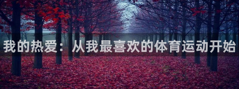 betway西汉姆联官网
